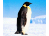 Captcha image 9327