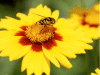 Captcha image 3850